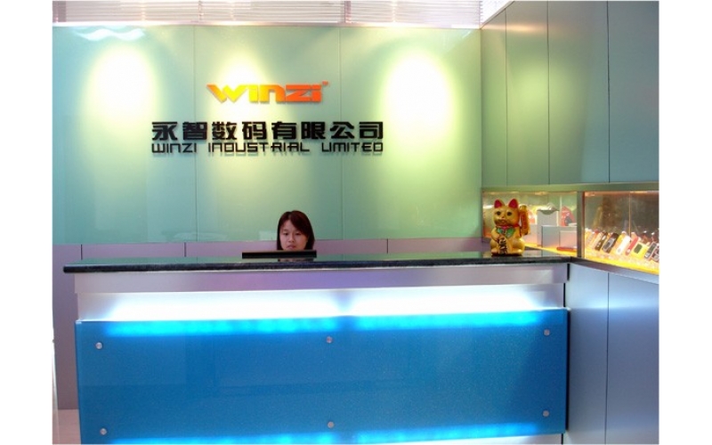 公司组织结构图，深圳市广发体育网页厂的最初结构