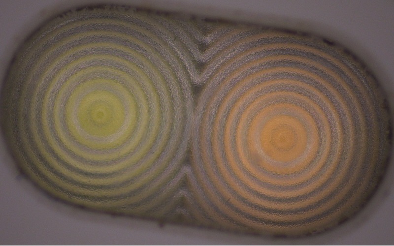 深圳市广发体育网页厂-深模-二次元下的手机闪光灯罩